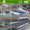 H type full automatic hot galvanized metal chicken broiler cage system for sale
