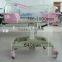 Plastic Adjustable Acrylic Baby Crib