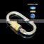 Steel Carabiner Hook, Carabiner