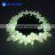 Ledcolourlight led IP68 C7 programmable led christmas string lights for holiday decoration