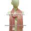 New Fancy Solid Color Polyester Chiffon Scarves & Scarf