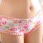 Cartoon Bowknot Design Cotton Panty Underwear For Girl