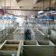 Electro Polishing Machine
