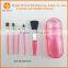 5pcs in plastic box translucent pink FREE samples nylon Hair makeup brush set with OEM design