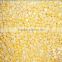 Supply China Frozen Sweet Corn wholesale corn baby corn