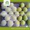 bulk fresh shandong pear