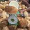 old coconut