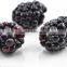 GMP Factory Supply Best Price Mulberry Fruit Extract Powder