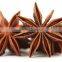 Best selling star anise aniseeds with stems, best quality by HAGIMEX
