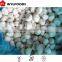 2015 good quality prices IQF champignons halves/dices/slices