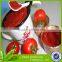 wholesale tomato paste
