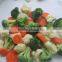 IQF mix vegetables 2015 years