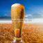 Malt Extract for brewing beer