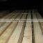 Building timber