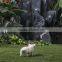 white color small size guinea pepa pig