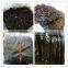 Laminaria nori seaweed,roasted seaweed snack,sea moss,food grade