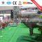 CE Certification Simulation Dinosaur with High Ranks
