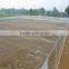 agricultrual bird netting and bird mist net