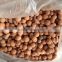 Hydroponic growing media clay granules expandable(LECA) water beads soiless culture clay garden balls