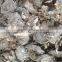 PP film squeezing, drying and granulating machine