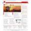 WEBSITES FOR SALE,CLONE WEBSITES,Website Design and Development