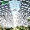 Commercial Solar Hydroponic Nursery Greenhouse