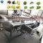 vegetable and fruit washer date washing machine vegetable washer machine