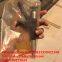 Common Rail Fuel Injector 23670-E0351 095000-5215 for Hino for sale