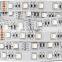 New 2021 RGBW LED strip waterproof 12V 24V 5050smd led lighting led flexible 5050 led strip 24v rgbw 4 in1