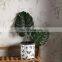 Wholesale garden clay plant planters butterfly relief design white ceramic cheap flower pots for home decor