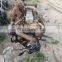 large quantity of used engine export japan germany