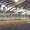 Qingdao steel factory farming building industrial shed horse shed