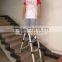 3.2m Telescopic ladder/3 position telescopic ladder/telescopic ladder with joint