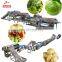 High efficiency pawpaw washing cutting processing machine