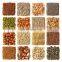 Pecans Walnut classifier grader sorter Huller Sheller Processing Machine Line machine