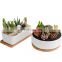 Original Large Succulent Planter Ribbed Ceramic Pot For Indoor Plant