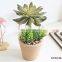Factory Direct Sales Mini Cute Lifelike Cheap Garden Decor Faux Potted Plants And Succulents Artificial Flower Plant Home