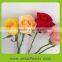 Alibaba china hot selling high quality fresh cut flowers roses in India