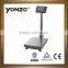 scales 250kg
