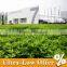 L series big exhibition tent for sale