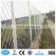 Beautiful grid wire mesh