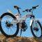 Seagull,cheap retro electric bike