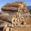 luxury russian red pine logs