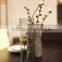 SGS Product Home and Garden Decoration Flower Vase Glass