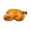 Custom plastic inflatable turkey for festival display thanskgiving decorations