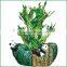 dragon tower shaped lucky bamboo air bonsai tree dracaena sanderiana indoor aquatic water plants nursery garden decoration
