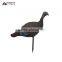 XPE pretty turkey decoy for hunting