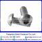 Hexagon Socket Countersunk/Round/Head Cap Screws