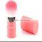 Custome Logo Long Handle Cosmetic Facial Powder Brush/High Light Brush