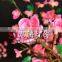 Pink Led garden blossom lights tree